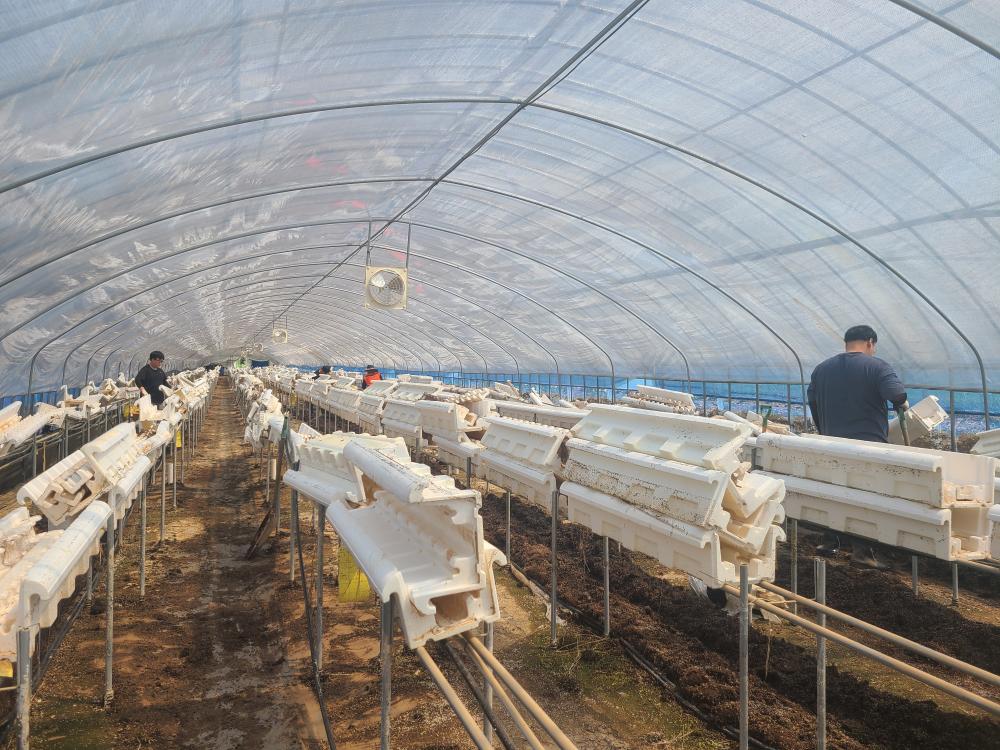 충남사회서비스원 임직원 수해복구 봉사활동 실시 사진3