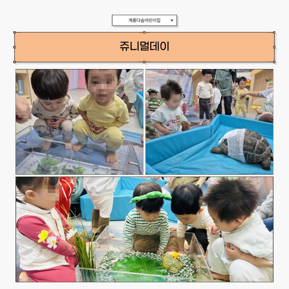 2025년 11월 뉴스레터 사진50