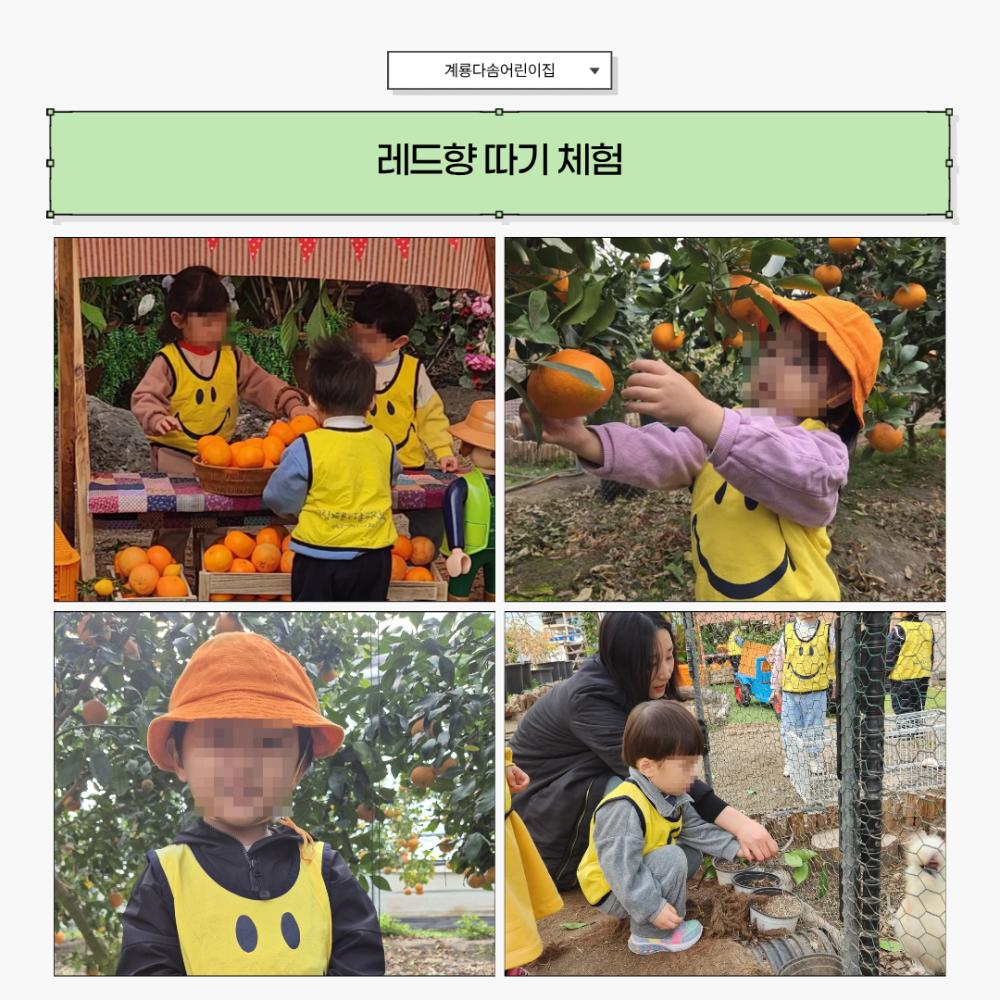 2025년 12월 뉴스레터 사진31