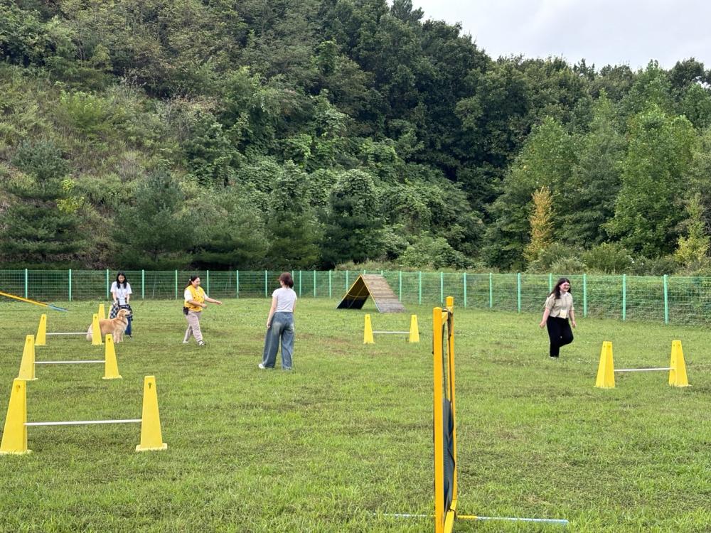 2024년 충청남도학교밖청소년지원센터 교육지원 사업 대학 학과탐방_공주대학교 반려동물학과 사진2