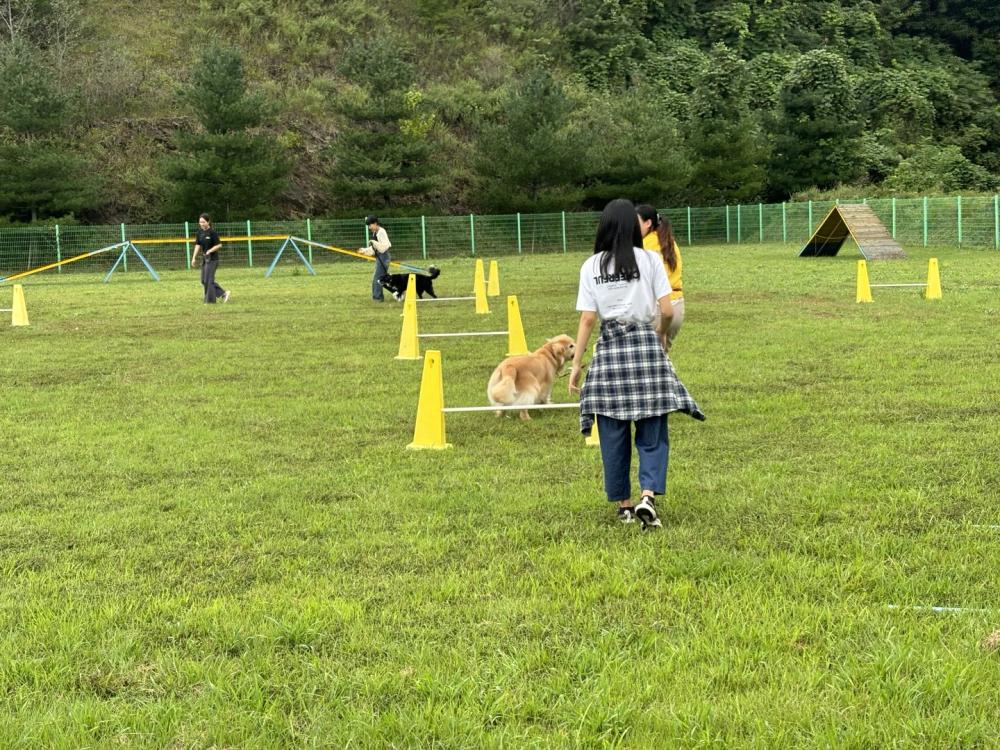 2024년 충청남도학교밖청소년지원센터 교육지원 사업 대학 학과탐방_공주대학교 반려동물학과 사진3